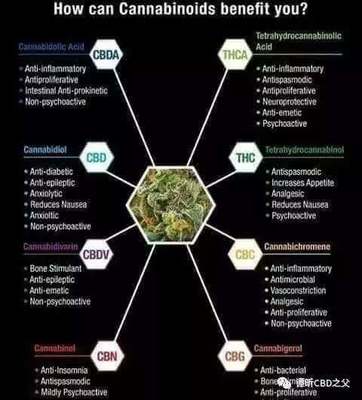 大麻二酚CBD在临床上的疗效