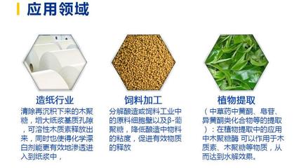 华堂聚瑞2万食品级木聚糖酶 植物提取引领烘焙与面粉加工新升级