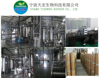 速溶生姜汁粉 现代农业与工业提取的完美结晶